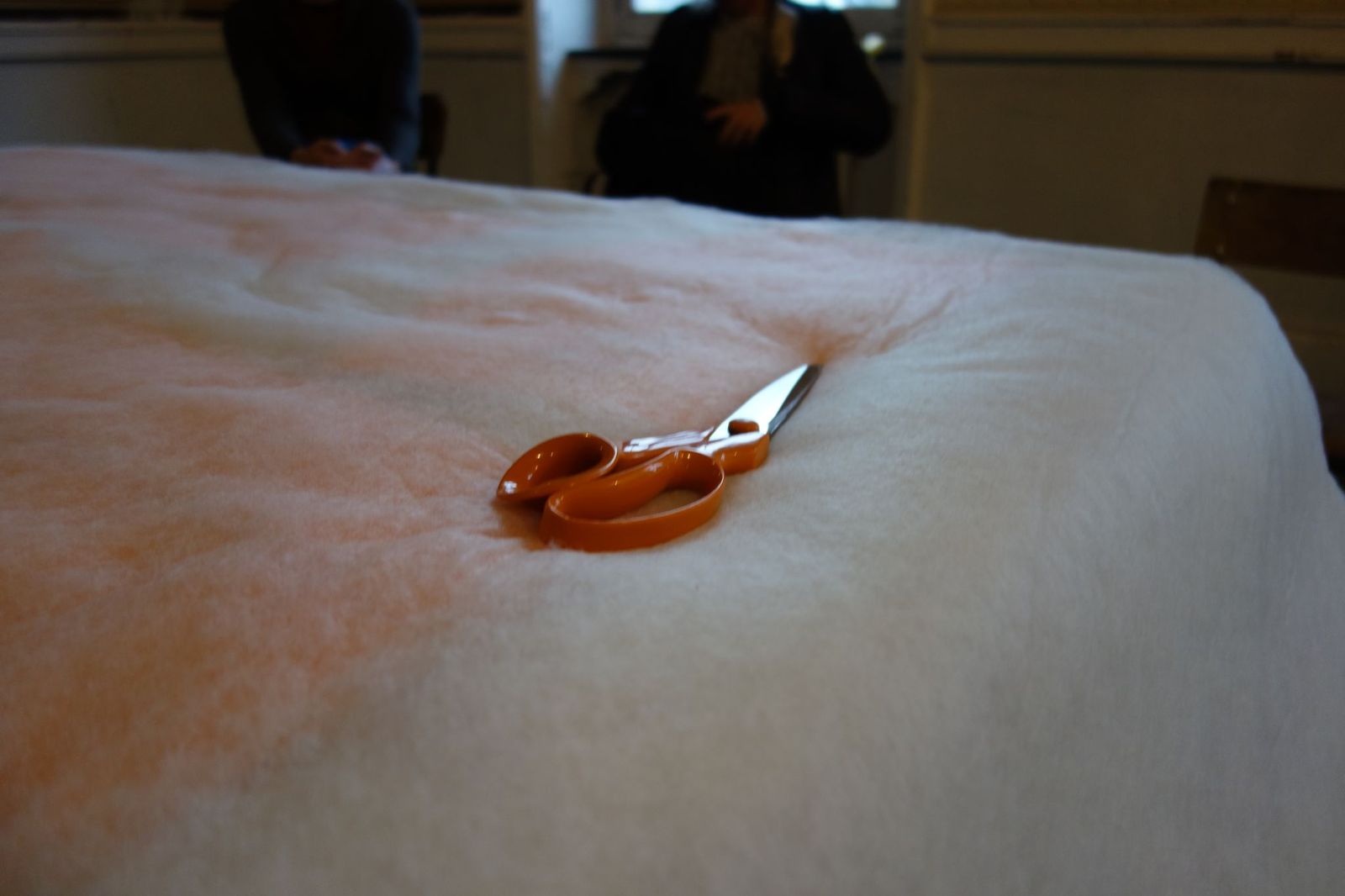 OBJECT OF BAD LUCK | scissors.jpeg