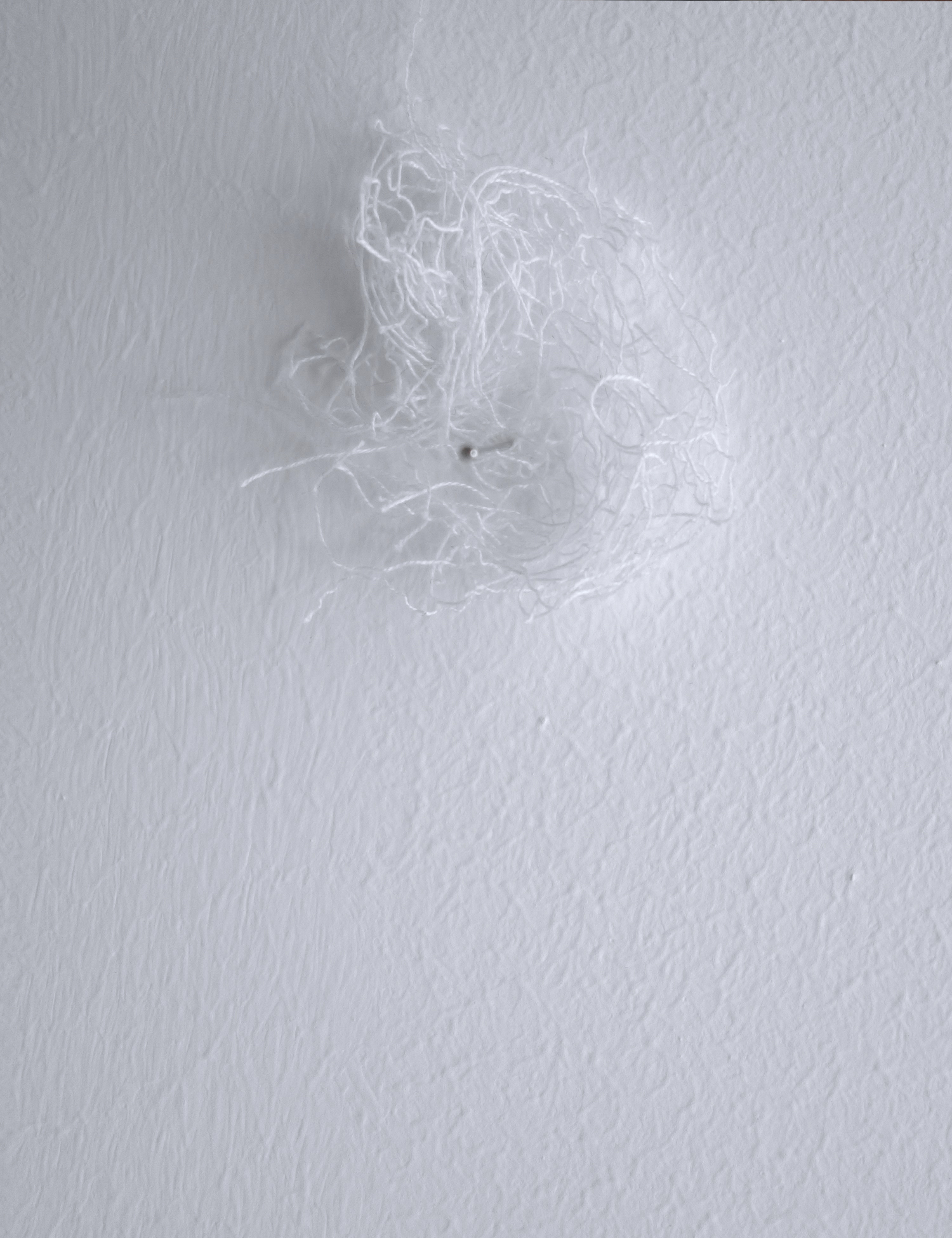 SONG OF BUTTONHOLES | songofbutton2.jpg